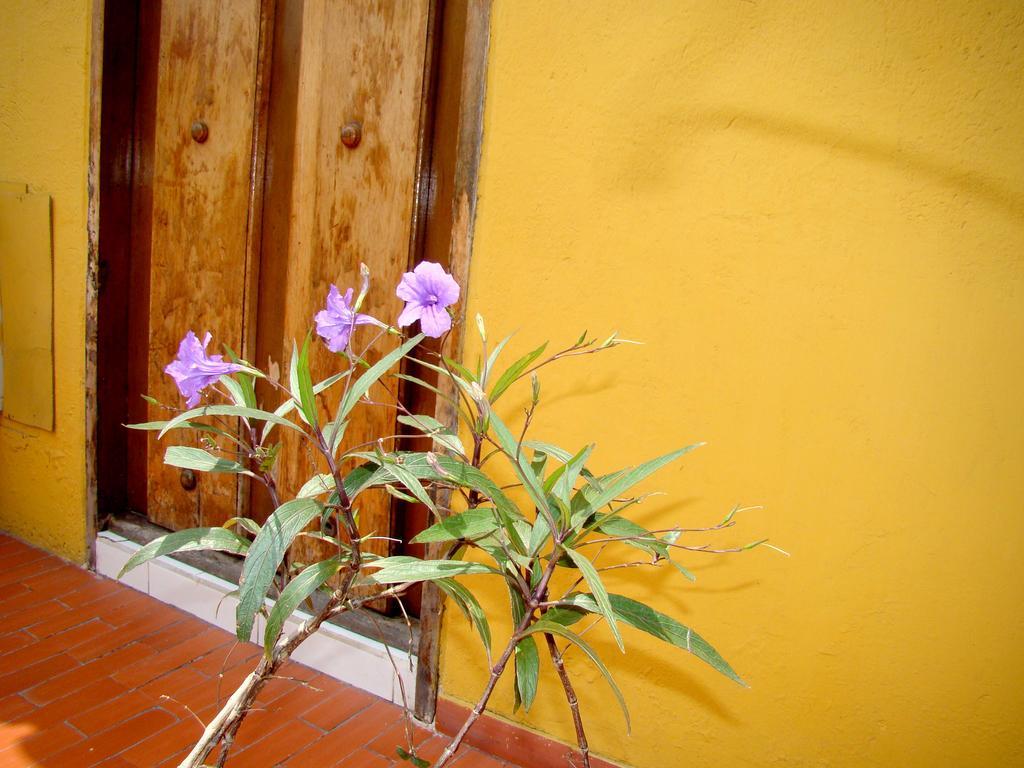 Hotel Casa Vieja Santa Marta  Buitenkant foto
